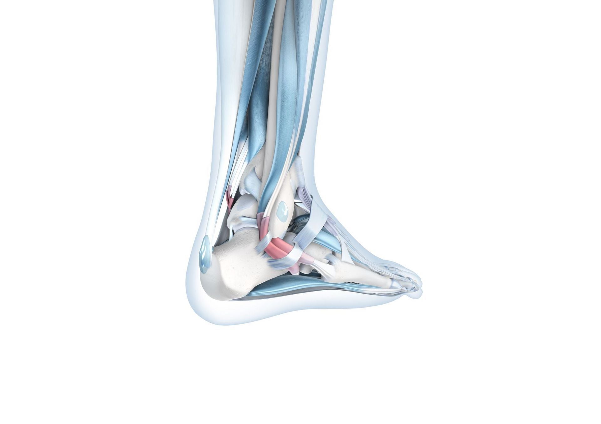 Ankle Instability