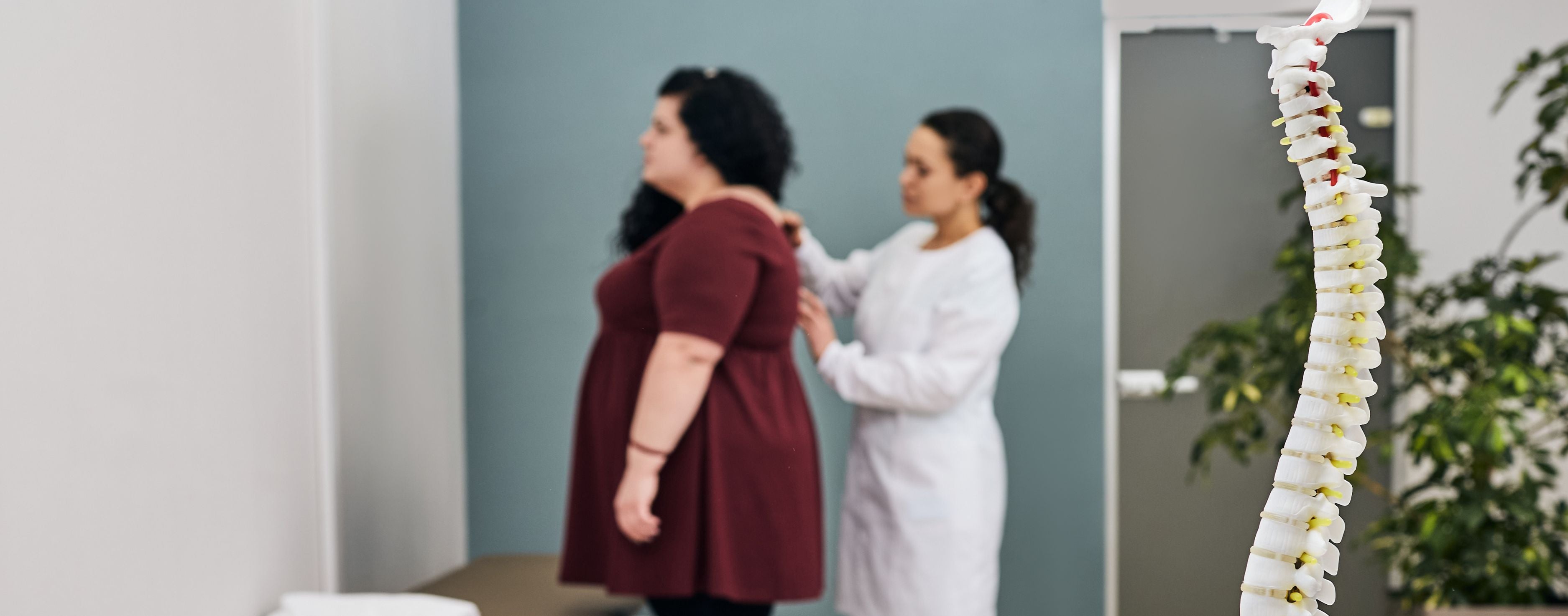 doctor assessing a woman's back for osteoporosis. In the foreground is a model of a spine