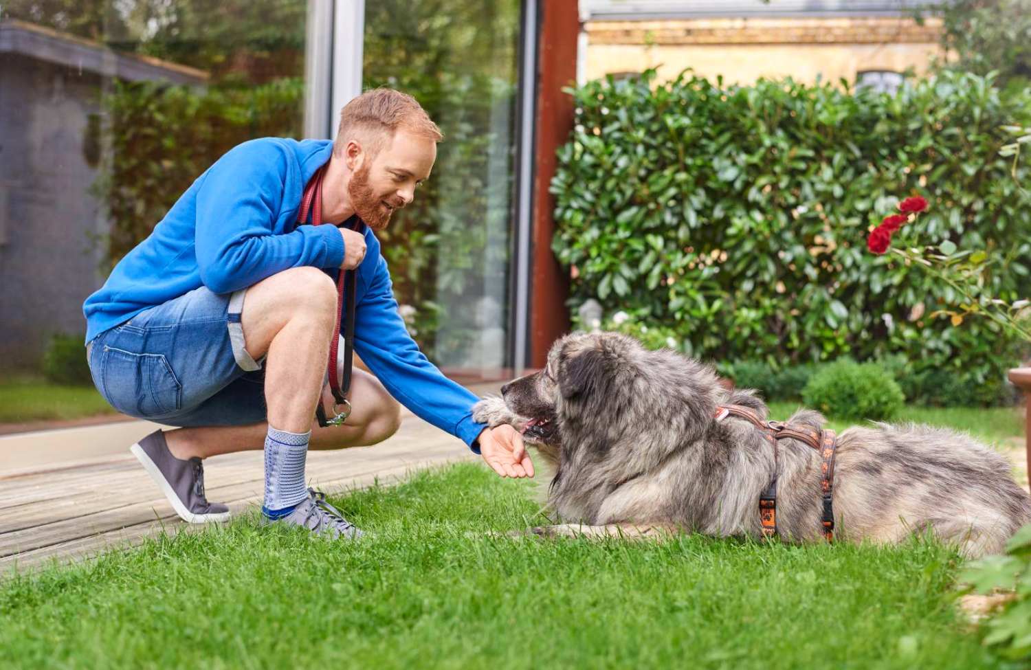 What's The Best Ankle Brace for Long-Term Pain Relief?