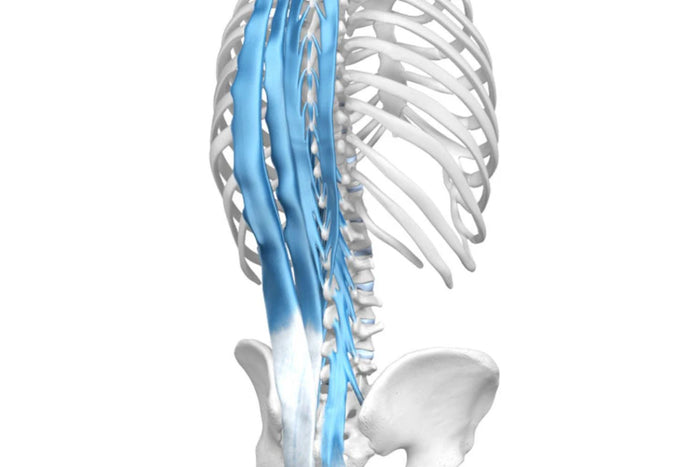 General Back Pain
