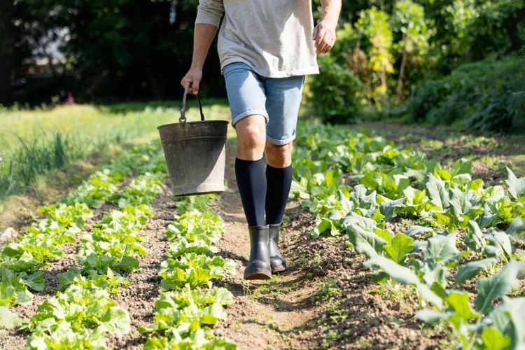 How to Stop Foot Swelling in the Heat