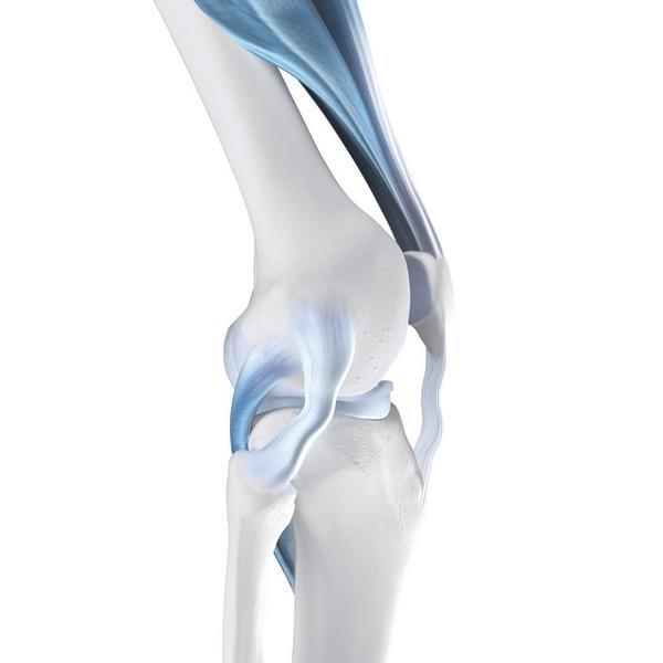 Knee joint instability