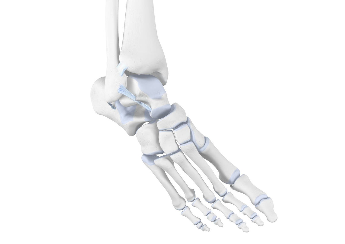 Supination Trauma: Rolling your Ankle