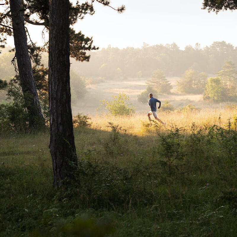 Run Performance Insoles - Bauerfeind New Zealand